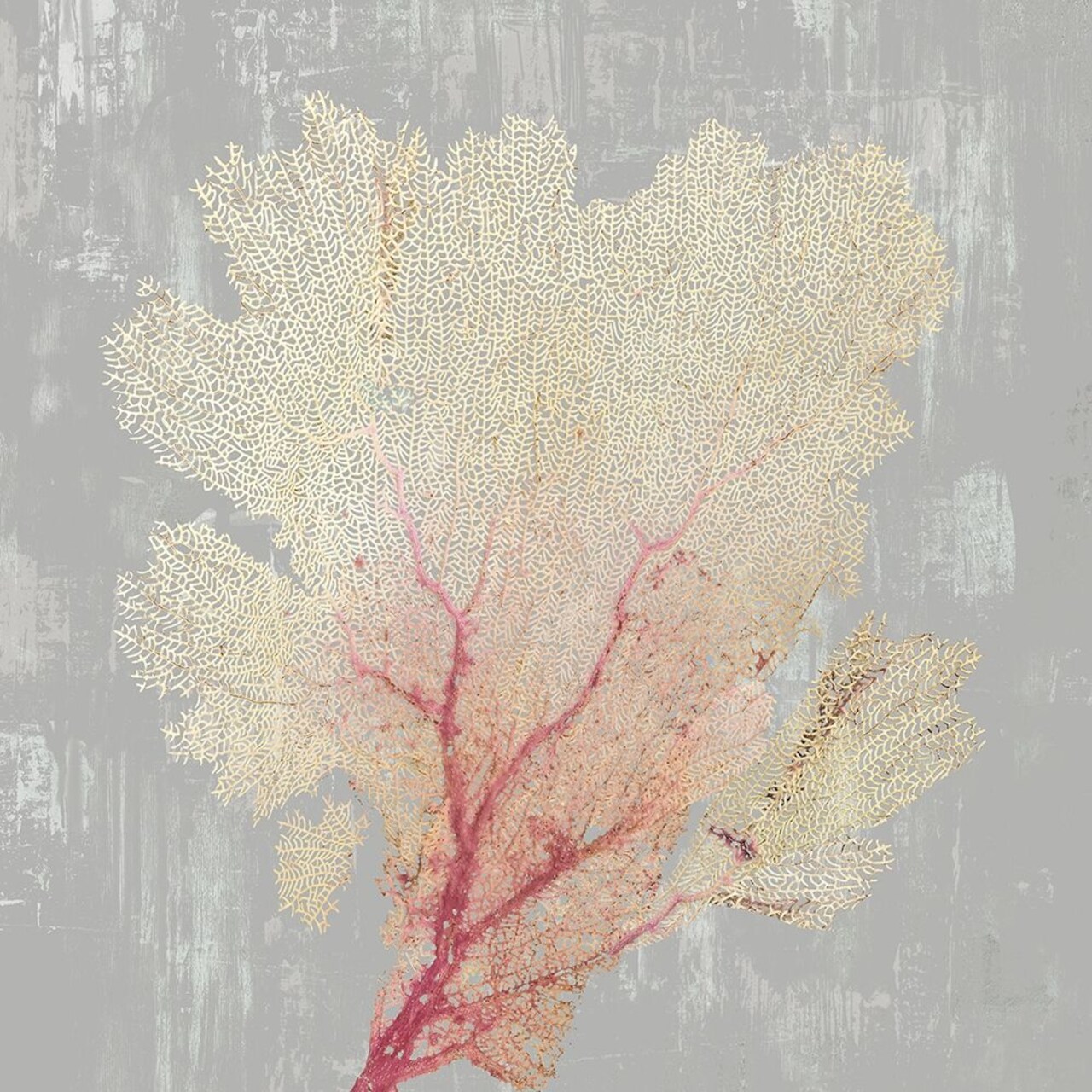 Blush Coral II Poster Print by Aimee Wilson - Item # VARPDXWL150A